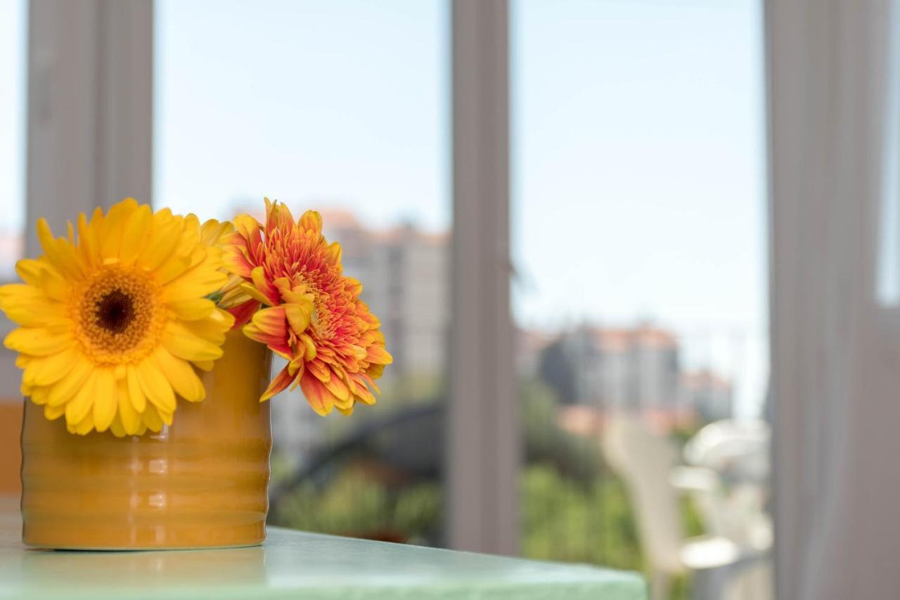 Nona Mileva Apartment Pula Ngoại thất bức ảnh